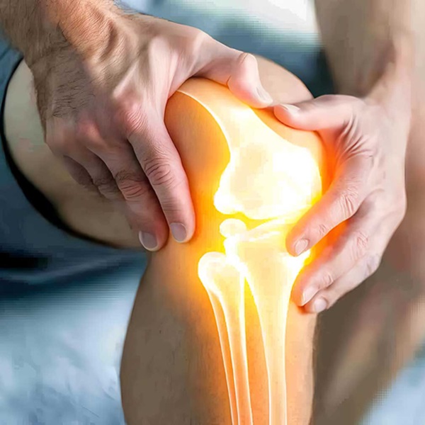 Why Type II Collagen Is the Essential Guardian of Joint Health