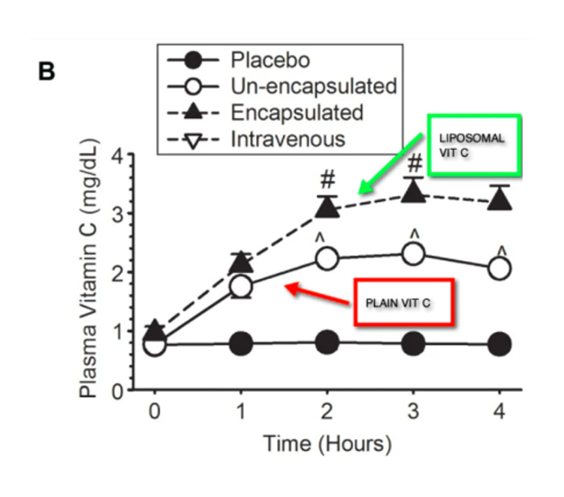Enhanced Bioavailability
