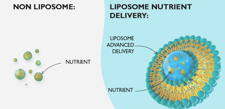 What is Liposomal Technology？