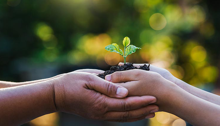 About Joyful Nutritional Social Responsibility