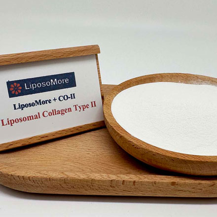 Liposomal Collagen Type II