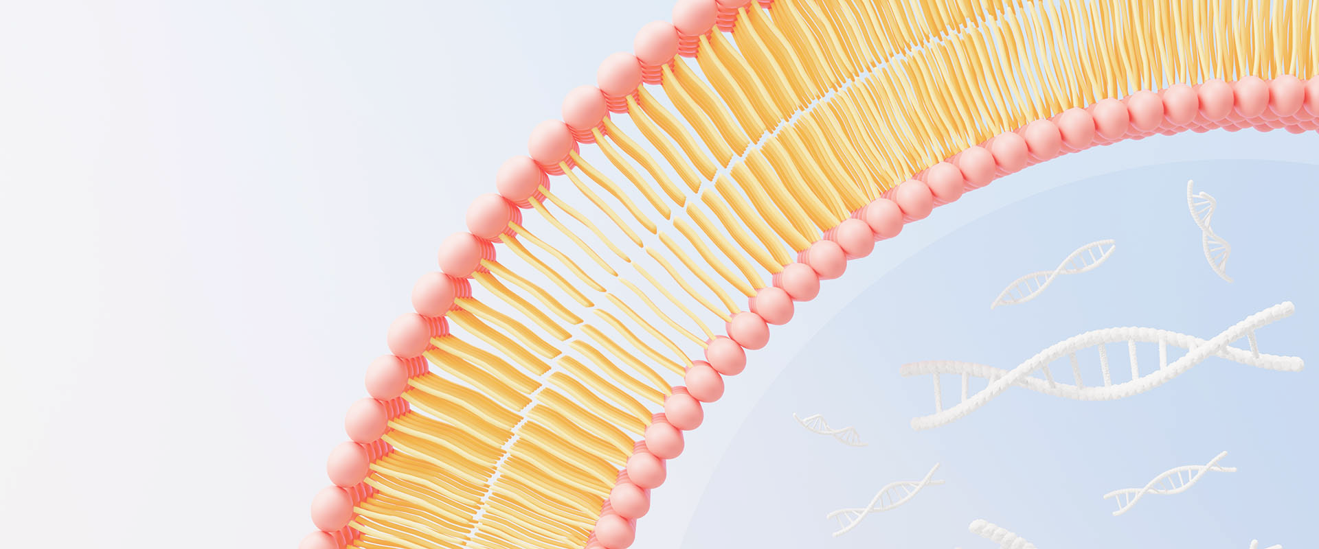 What are Liposomal Vitamins