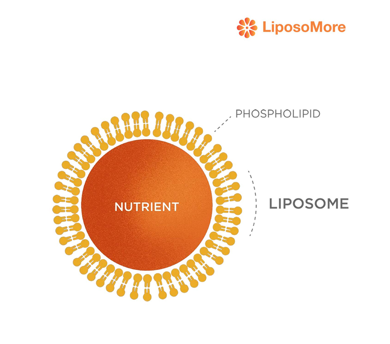 Enhanced Ingredient Stability
