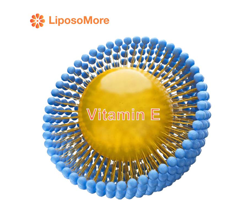 Superior Bioavailability Through Liposomes