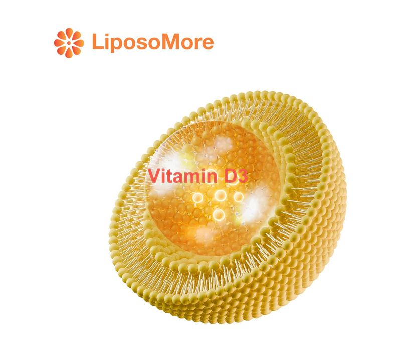 Vitamin D3 in liposomes