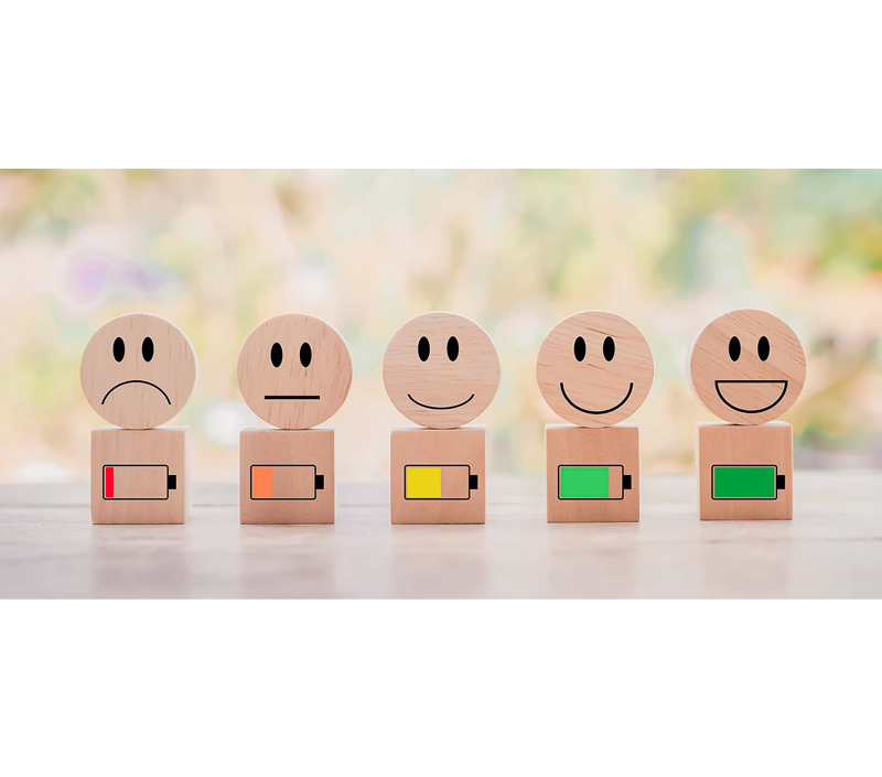 Cognitive and Mood Support