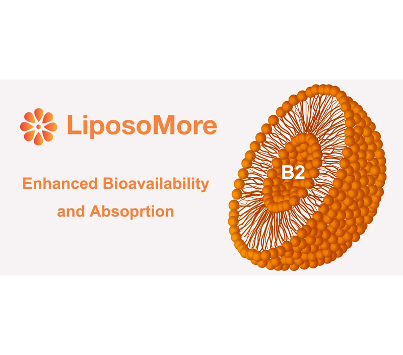 Enhanced Bioavailability and Absorption