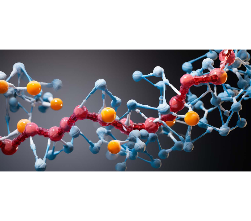 Enhances Cellular Metabolism