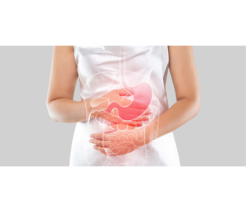 Gentle on the Digestive System