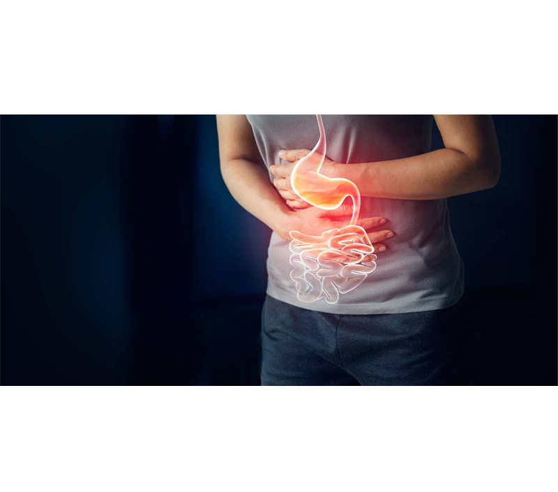 Gentle on the Digestive System