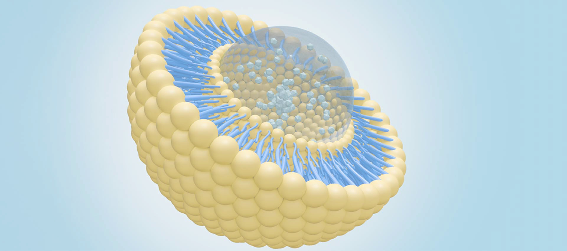 Liposomal Alpha Lipoic Acid