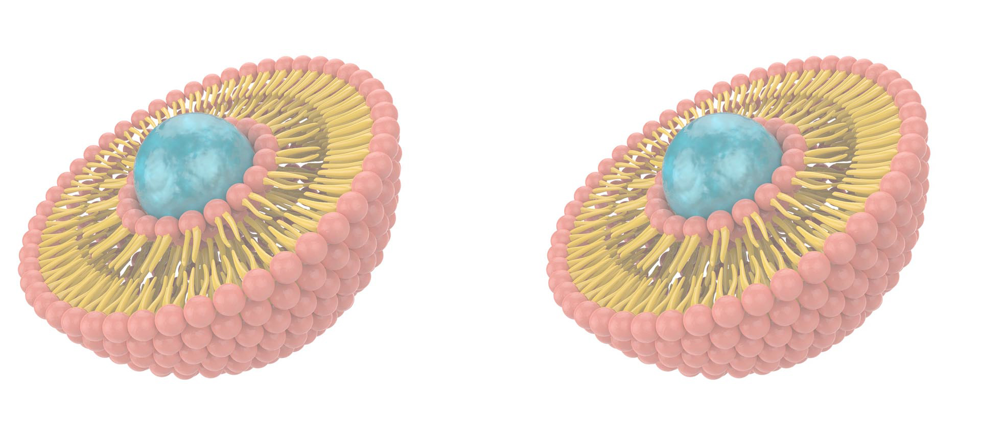 Liposomal Vitamin B Complex