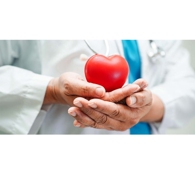 Supports Cardiovascular Health