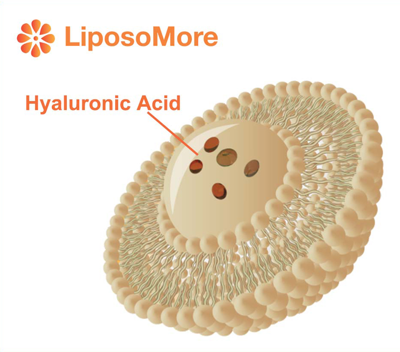 Enhanced Absorption and Bioavailability