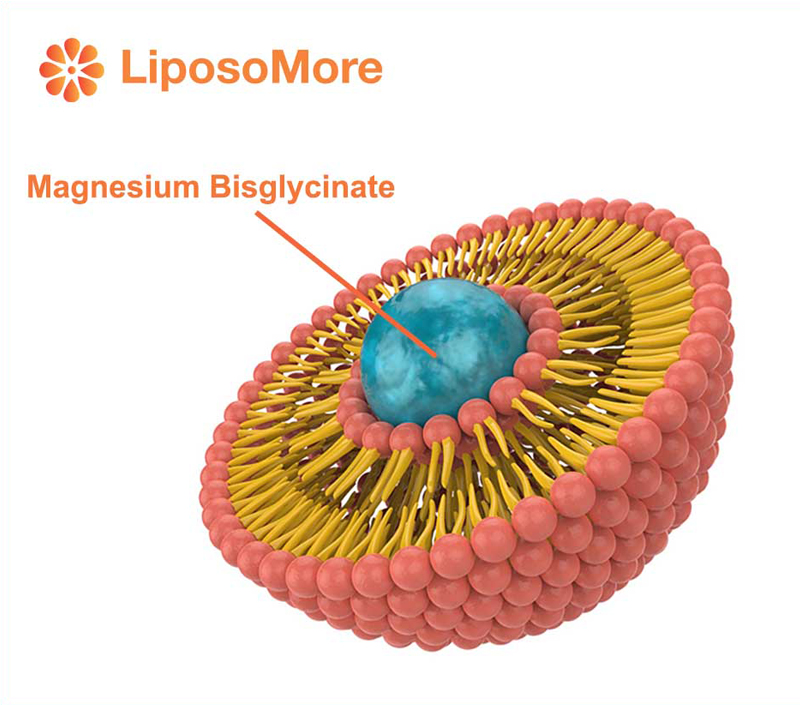 Enhanced Absorption via Liposomal Technology
