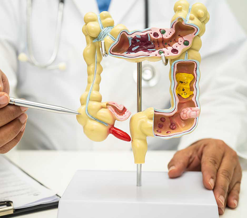 Ideal for Metabolic and Digestive Wellness