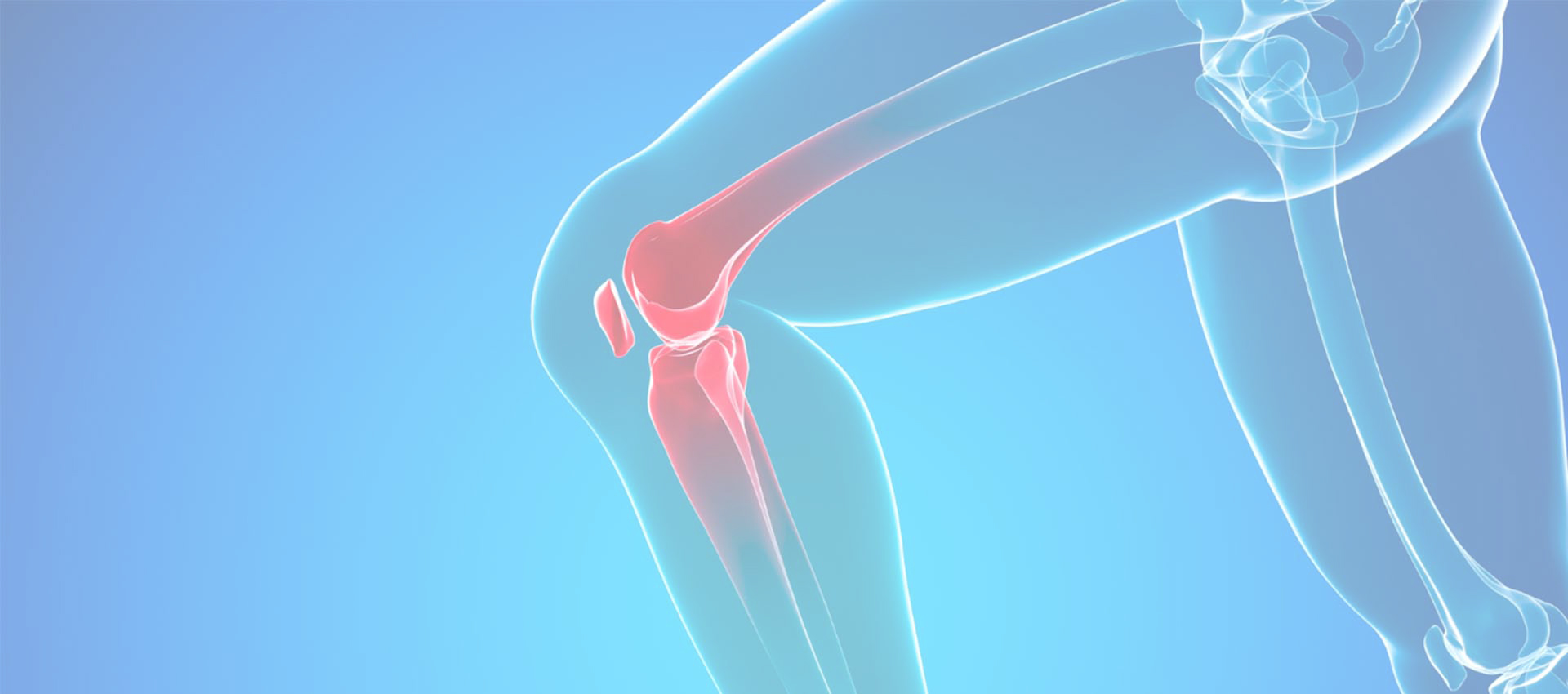 Liposomal Collagen Type II