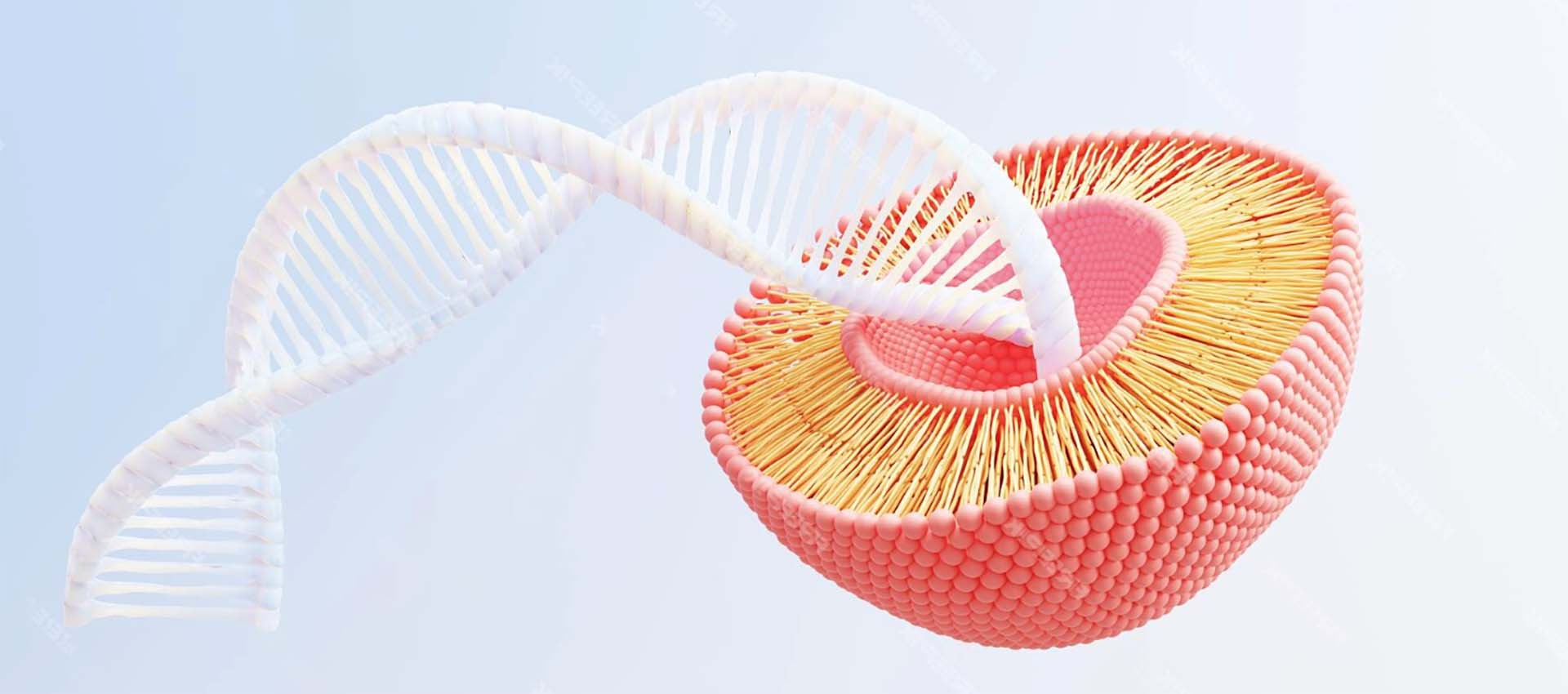 Liposomal Ferric Pyrophosphate