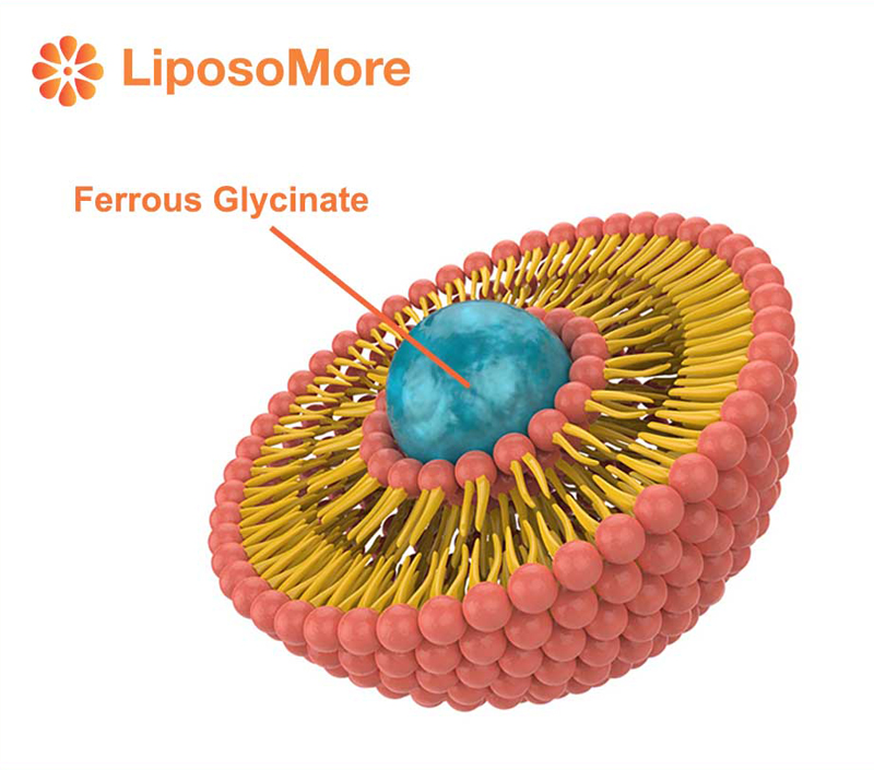 Significantly Improved Bioavailability for Efficient Supplementation