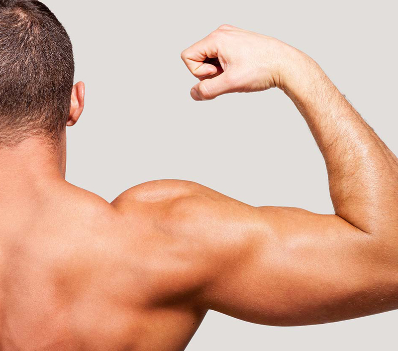 Supports Muscle Function and Physical Recovery