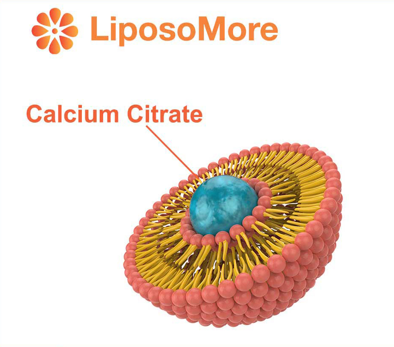 Superior Bioavailability Through Liposomal Delivery