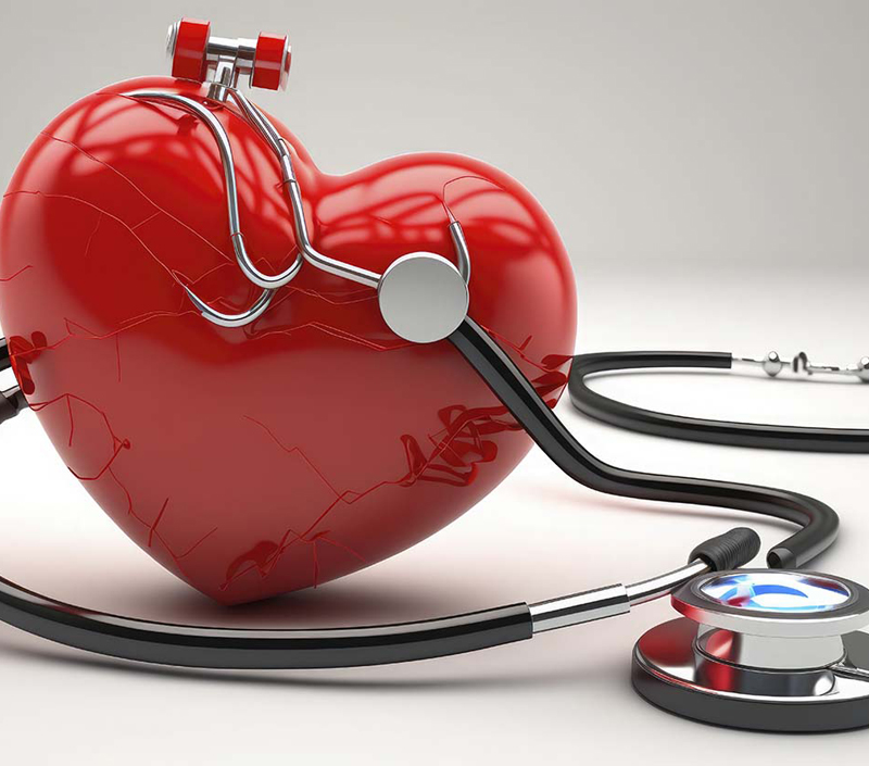 Aids in Neuromuscular and Cardiovascular Function