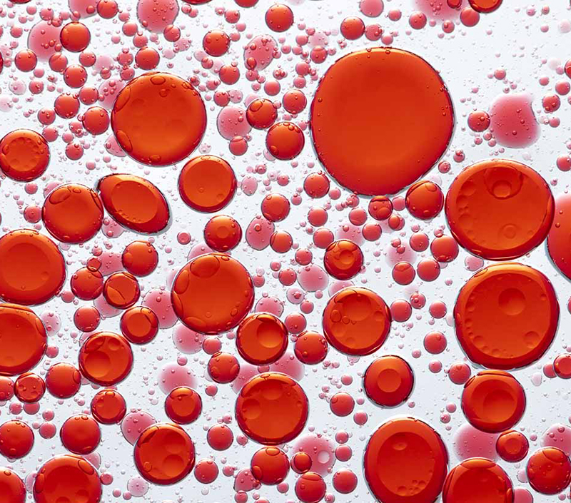 Supports Red Blood Cell Formation and Oxygen Transport