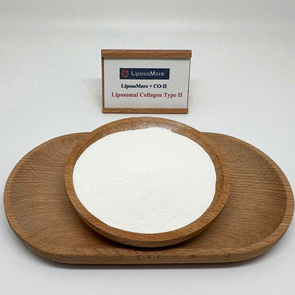 Liposomal Collagen Type II