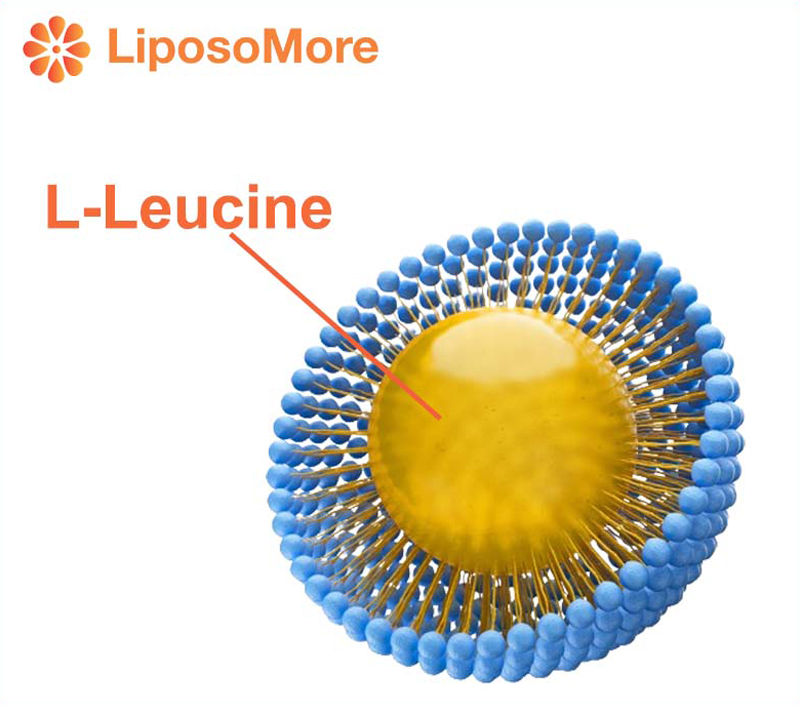​Liposomal Delivery Enhances Bioavailability