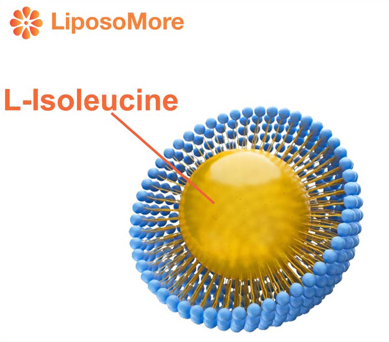 Liposomal Technology – Superior Absorption Efficiency