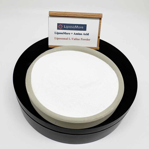 Liposomal L-Valine