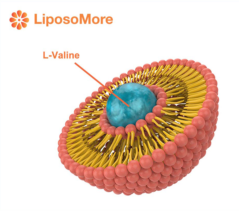 Superior Absorption via Liposomal Delivery