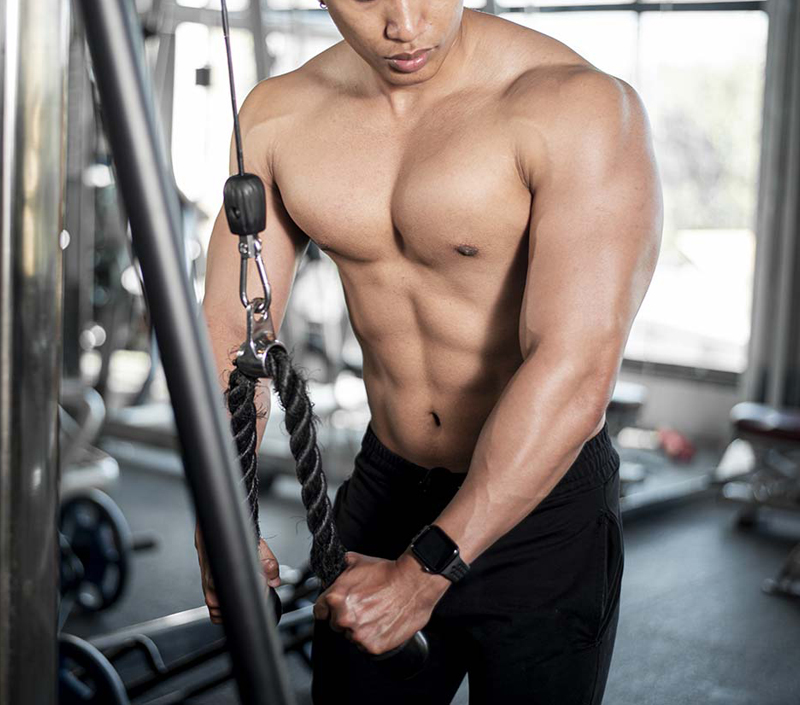 Supports Muscle Growth and Recovery