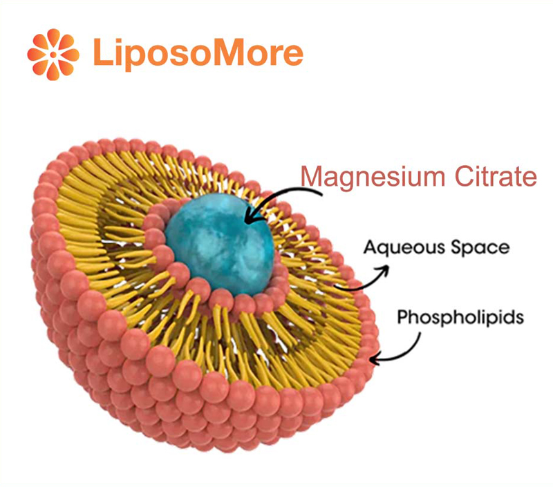 Minimizes Gastrointestinal Side Effects