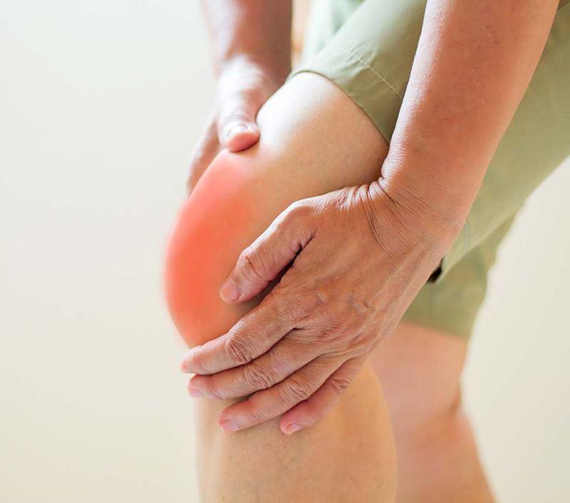 Supports Bone Density and Cardiovascular Health