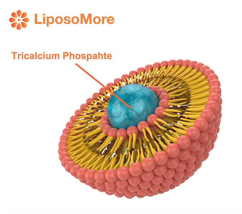 ​Superior Absorption Through Liposomal Encapsulation