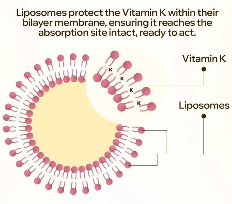 ​Gentle and Target Delivery