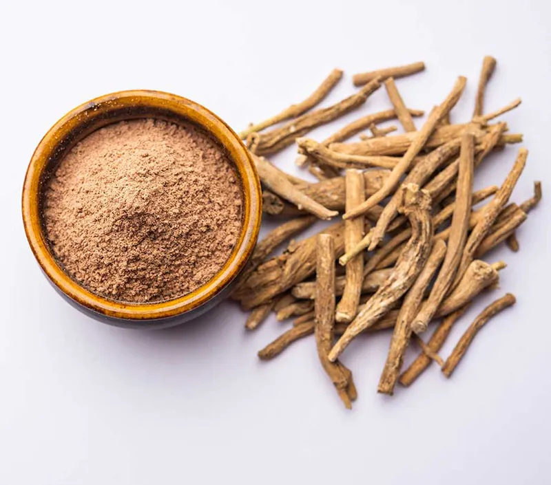 Clean-Label, Holistic Wellness Appeal