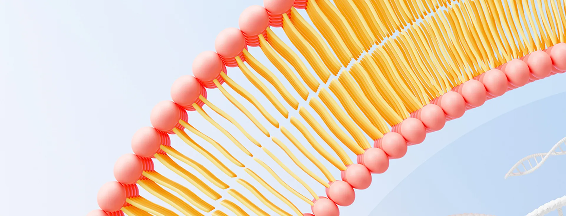 Liposomal Ingredients Manufacturer