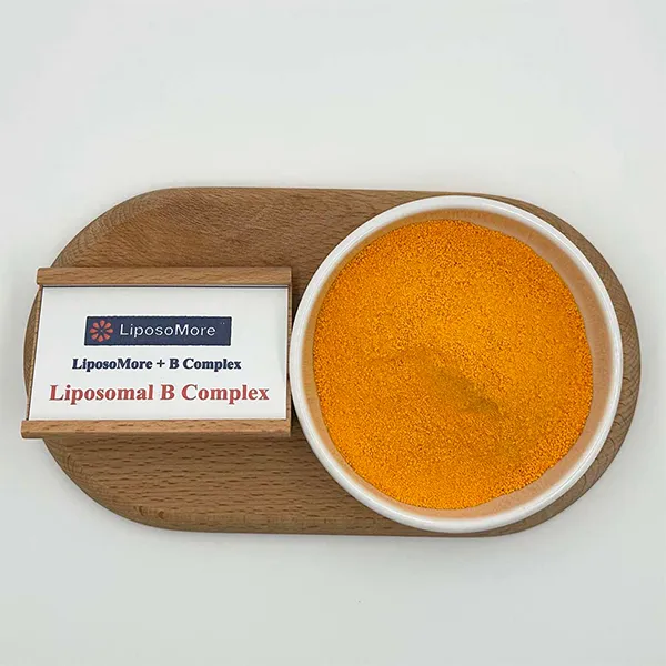 LiposoMore Liposomal Vitamin B Complex: Redefining High-Efficiency Nutritional Supplementation Standards
