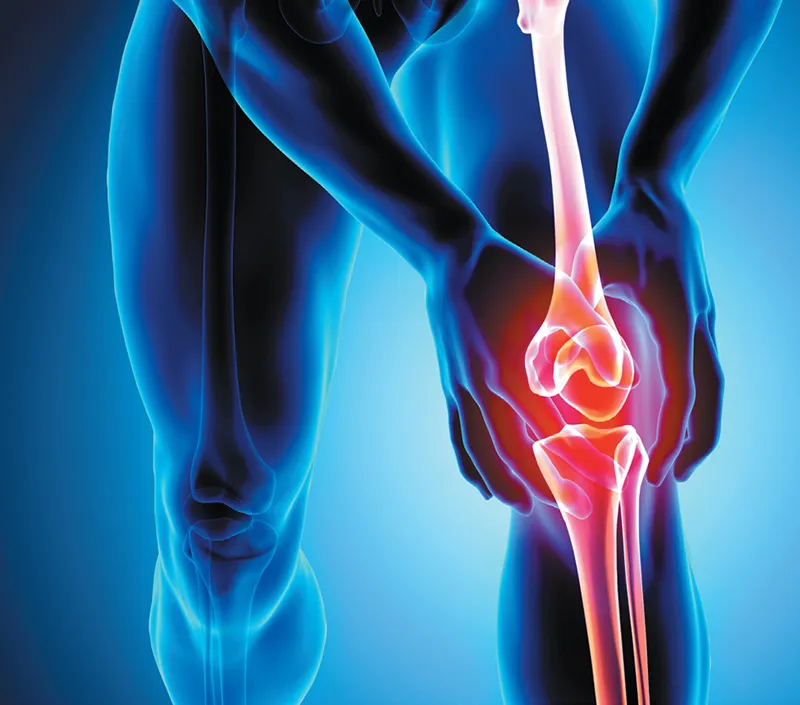 Effective Joint Comfort and Mobility Support