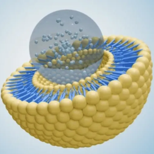 Microencapsulation vs Liposomal Technology: Which Is Better for Dietary Supplements?