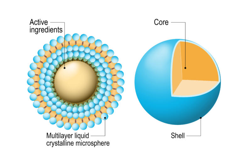 Liposomal_Vitamin_C_Bioavailability_02.jpg