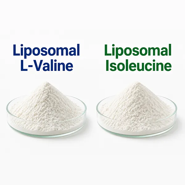 Liposomal L-Valine vs Liposomal Isoleucine: Key Differences for BCAA Formulations